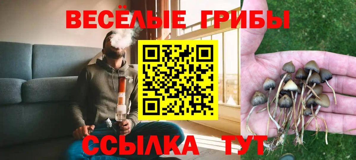 даркнет сайт  Псилоцибиновые грибы ЛСД  Вход с VPN  Курчалой 