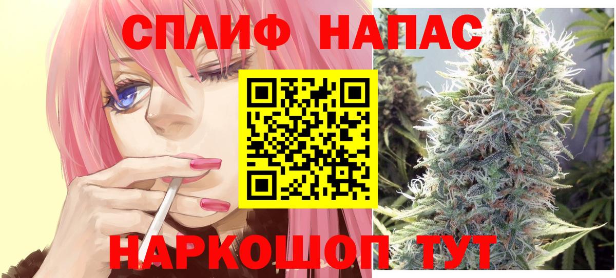Бошки Шишки гибрид  Вход с VPN  Каннабис сатива  Канабис White Widow  Шишки марихуана сатива  Курчалой 